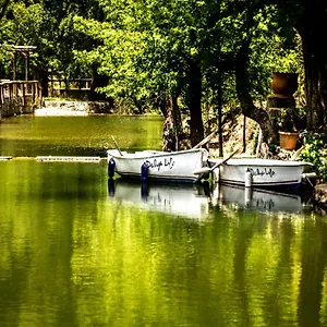 https://dalya-life.oludenizhotels.org